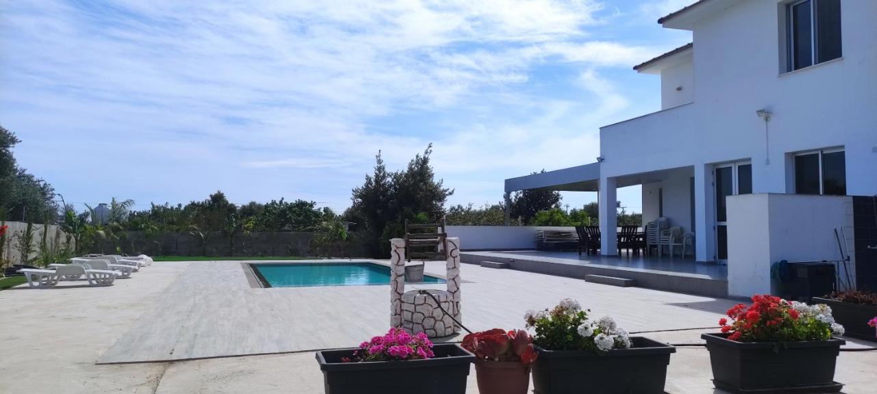 Kiti Village Villa, Cyprus, Salt-Water Pool, 6 Bedrooms, Larnaca ภายนอก รูปภาพ