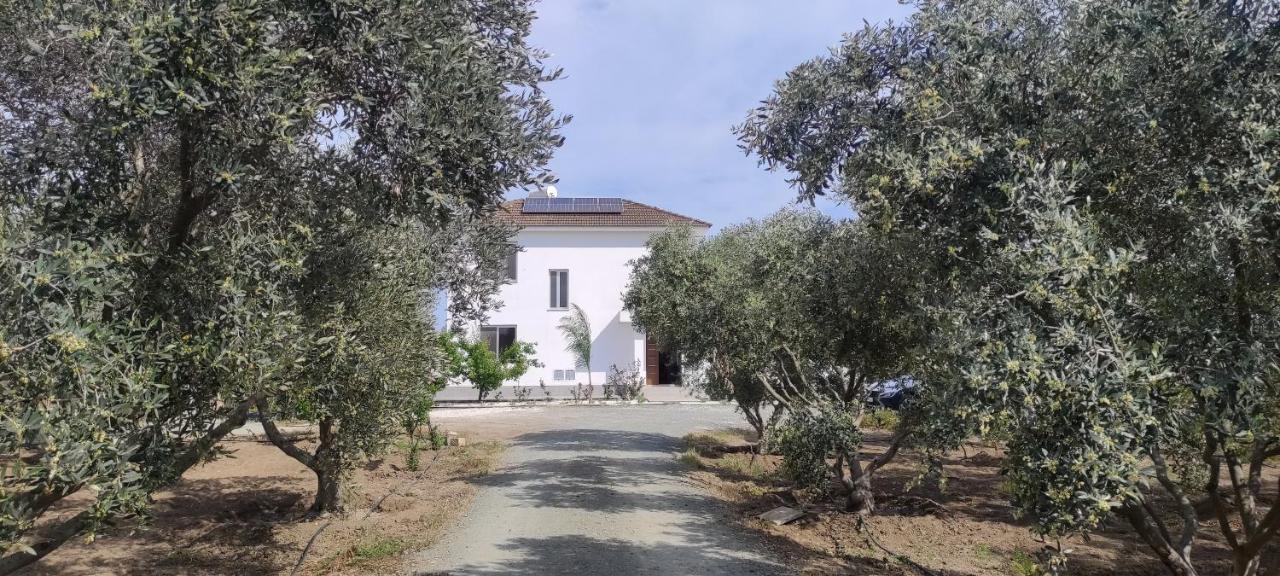 Kiti Village Villa, Cyprus, Salt-Water Pool, 6 Bedrooms, Larnaca ภายนอก รูปภาพ