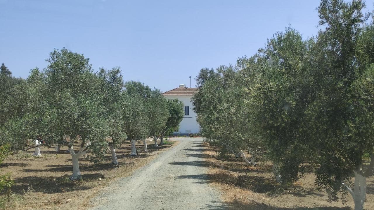 Kiti Village Villa, Cyprus, Salt-Water Pool, 6 Bedrooms, Larnaca ภายนอก รูปภาพ