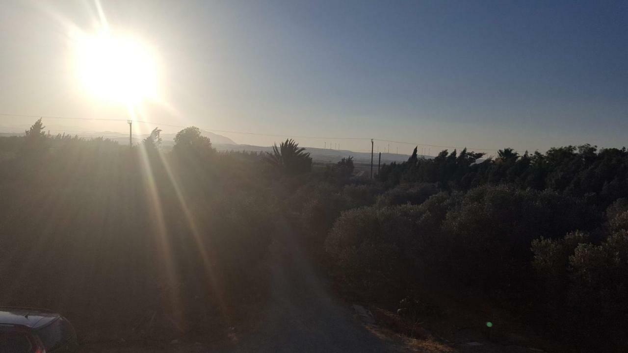 Kiti Village Villa, Cyprus, Salt-Water Pool, 6 Bedrooms, Larnaca ภายนอก รูปภาพ
